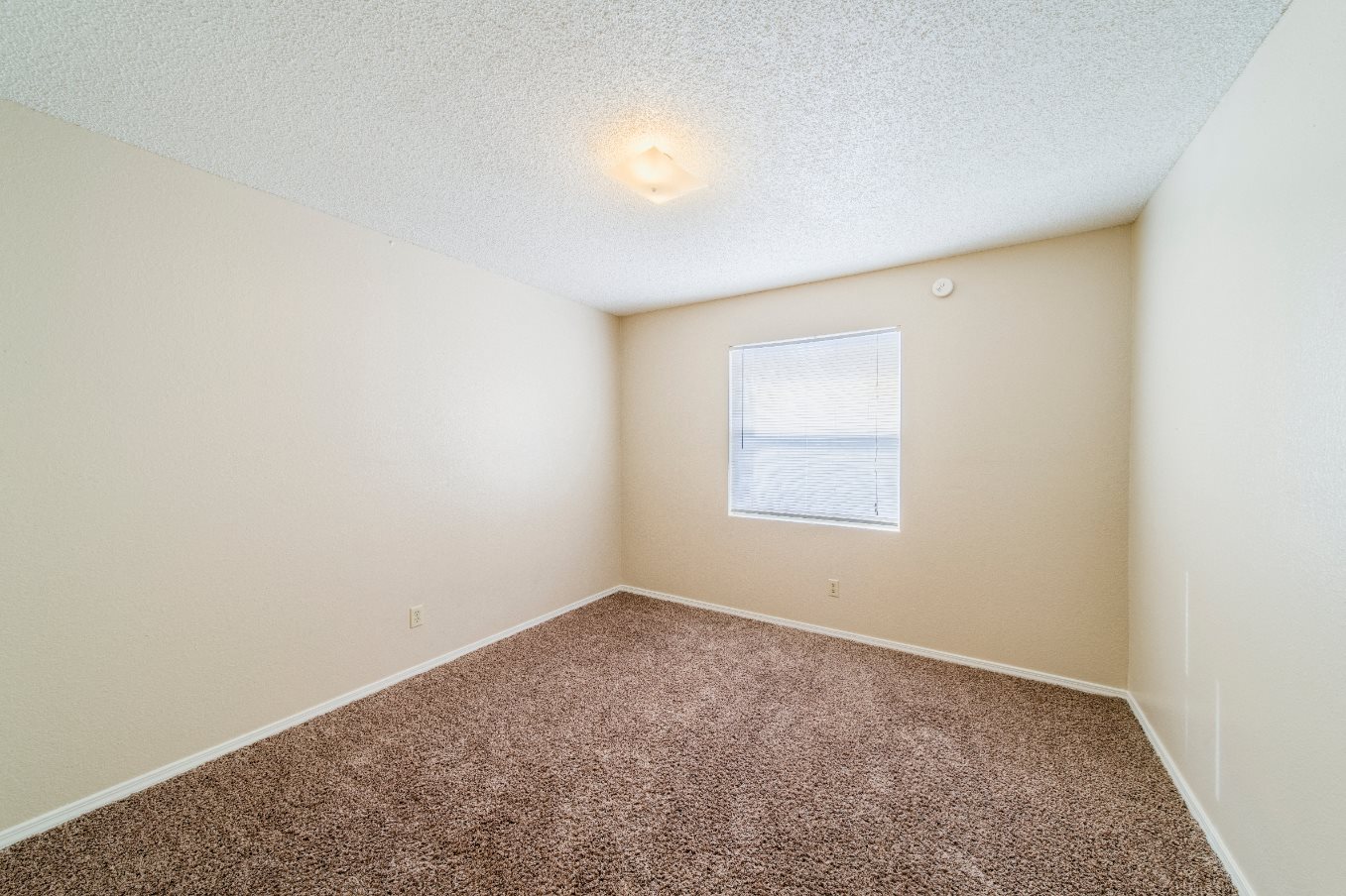 Gallery Photo 18